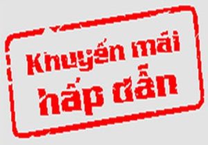 COMBO SIÊU KHỦNG: Cơn mưa quà tặng đến từ Owleye khi độ đèn led ô tô 8 combo siêu khủng