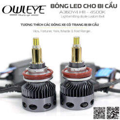 Mắt Cú