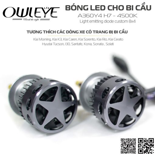 Mắt Cú