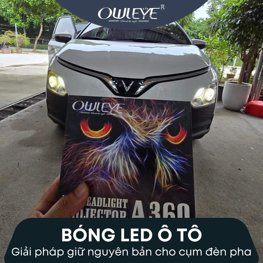 Do den led owleye tra gop 5