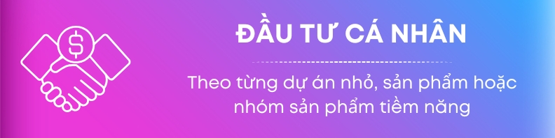 Nha dau tu ca nhan
