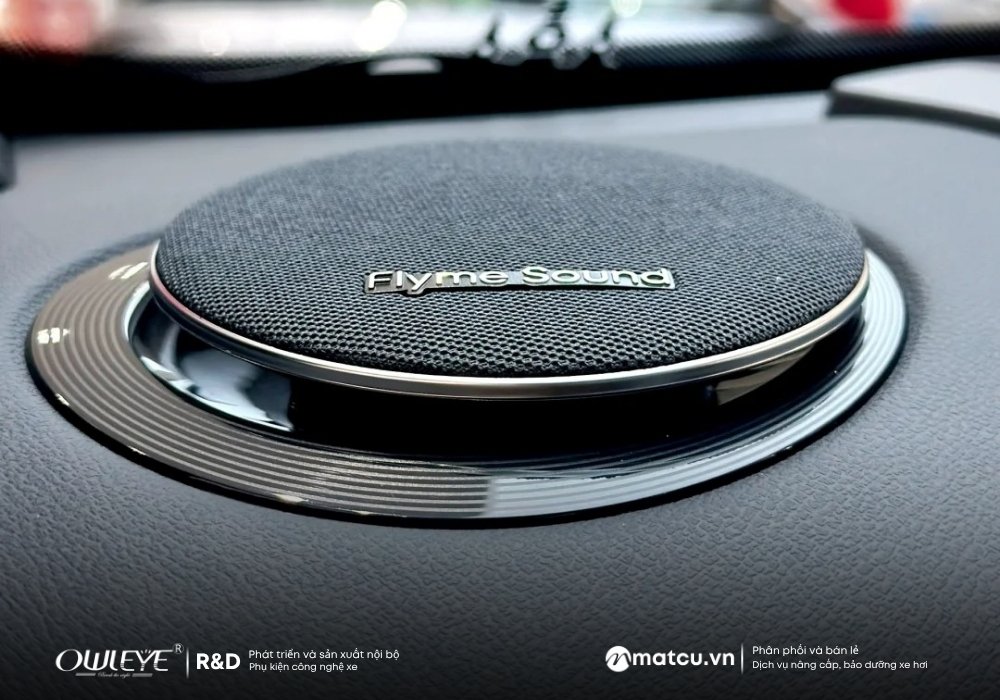 kien-thuc-co-ban-ve-do-loa-o-to-co-rat-nhieu-dieu-ban-can-biet-ve-am-thanh-xe-hoi